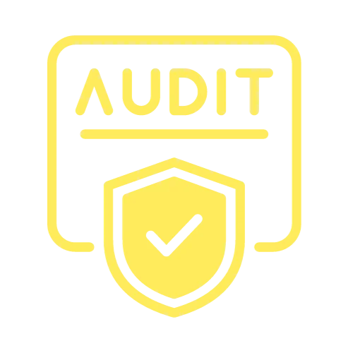website audit - conversionz